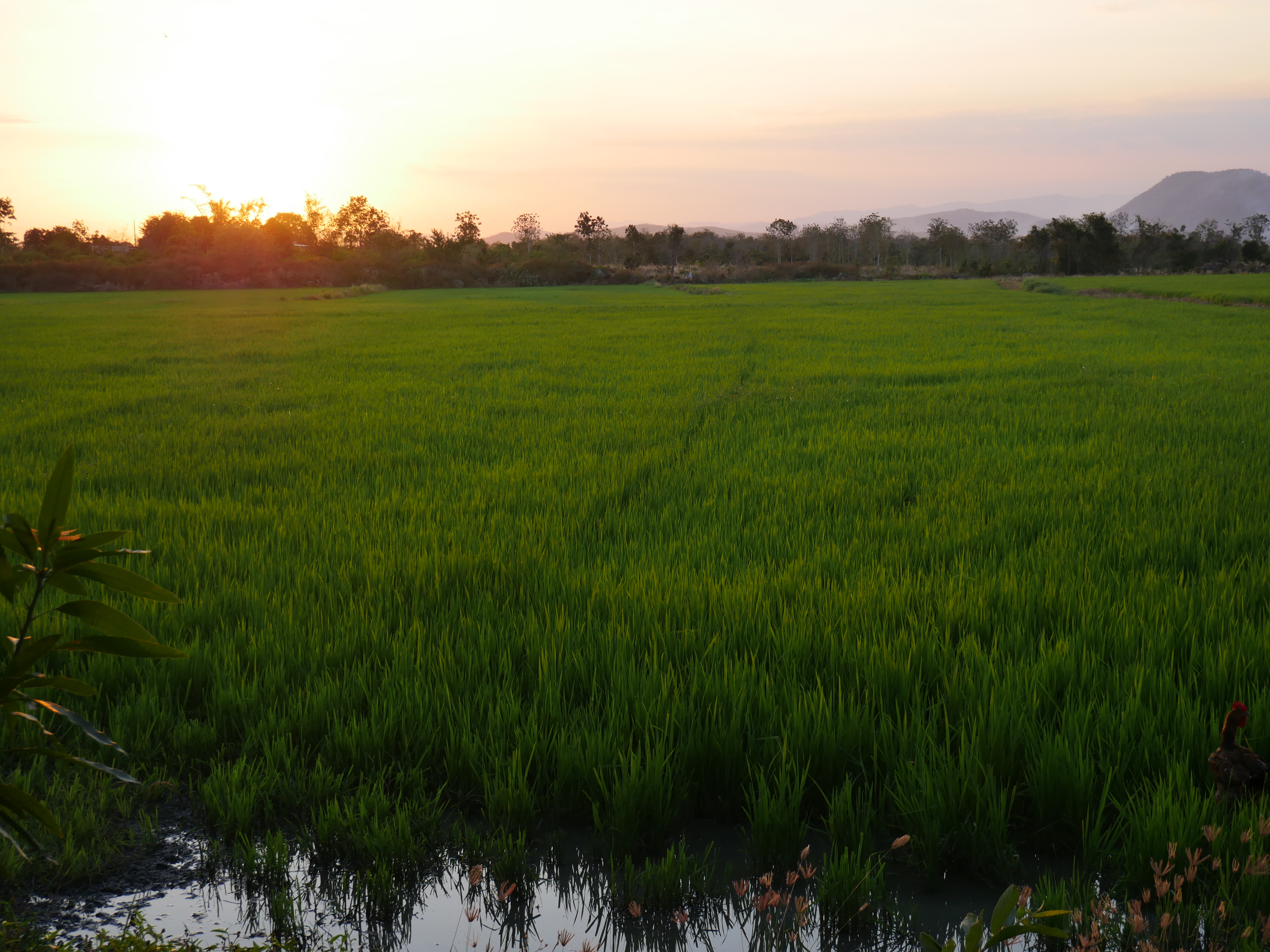 Voyage solidaire vietnam volontaire UVS